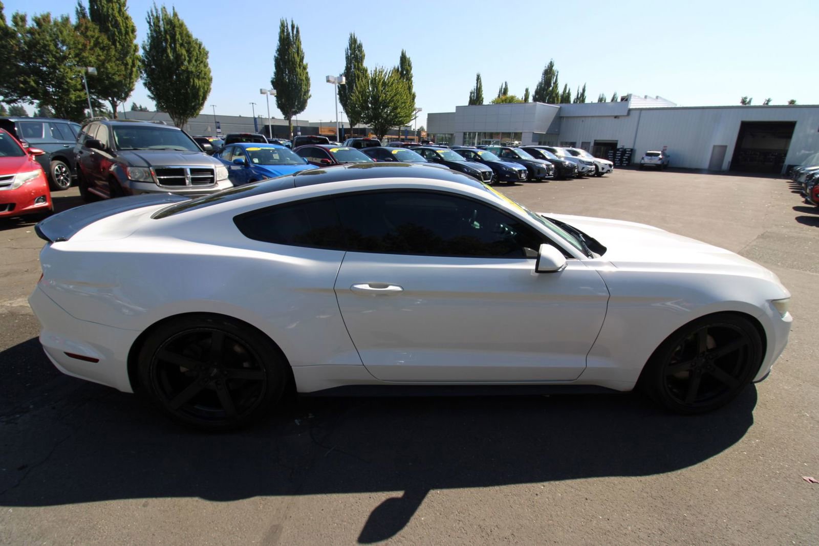 Used 2017 Ford Mustang Coupe w/ Wheel & Stripe Package image 8