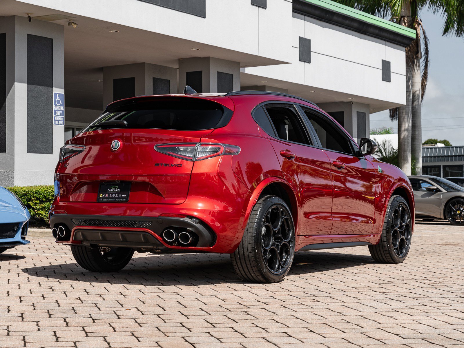 New 2024 Alfa Romeo Stelvio Quadrifoglio image 14