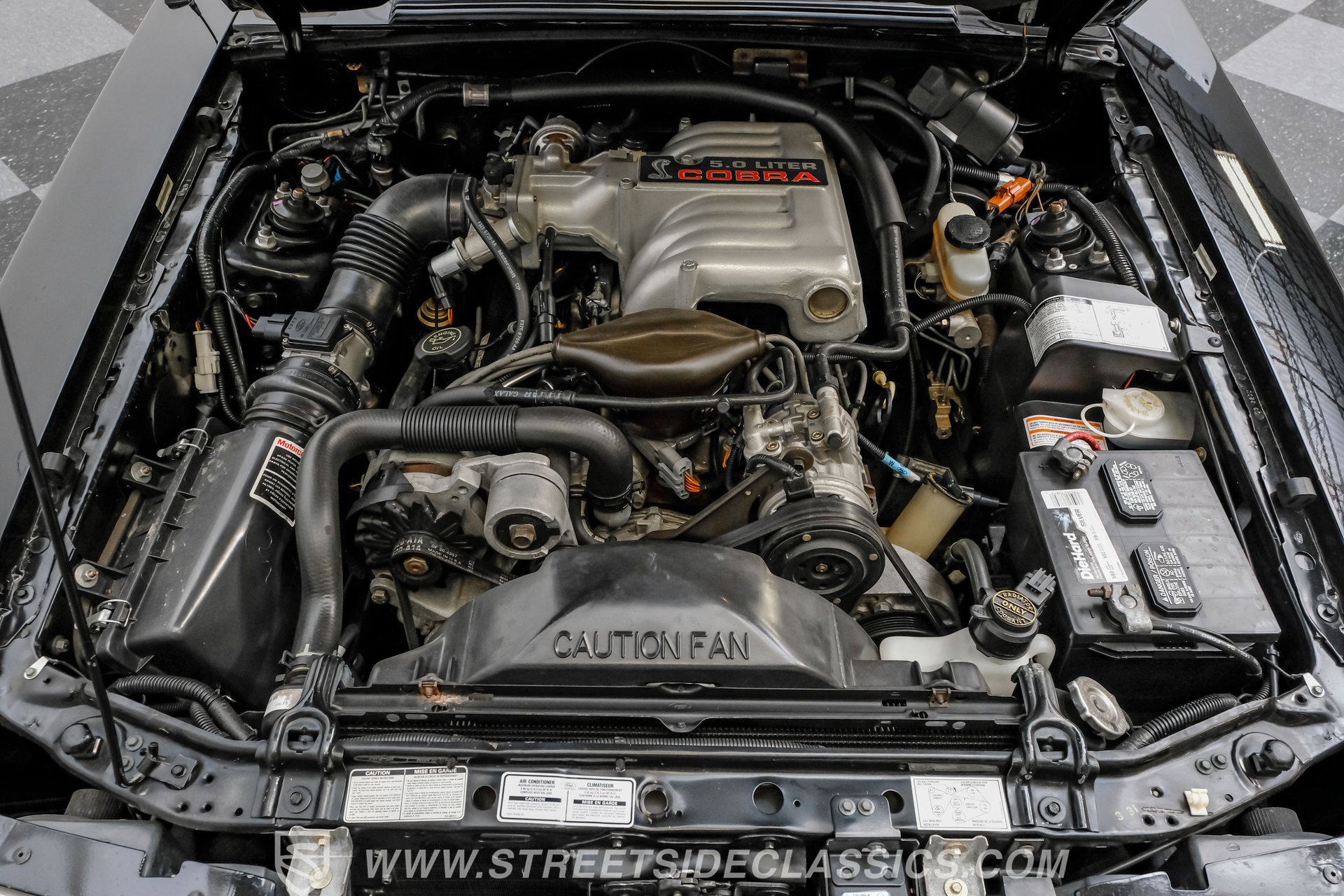 Used 1993 Ford Mustang Cobra image 3