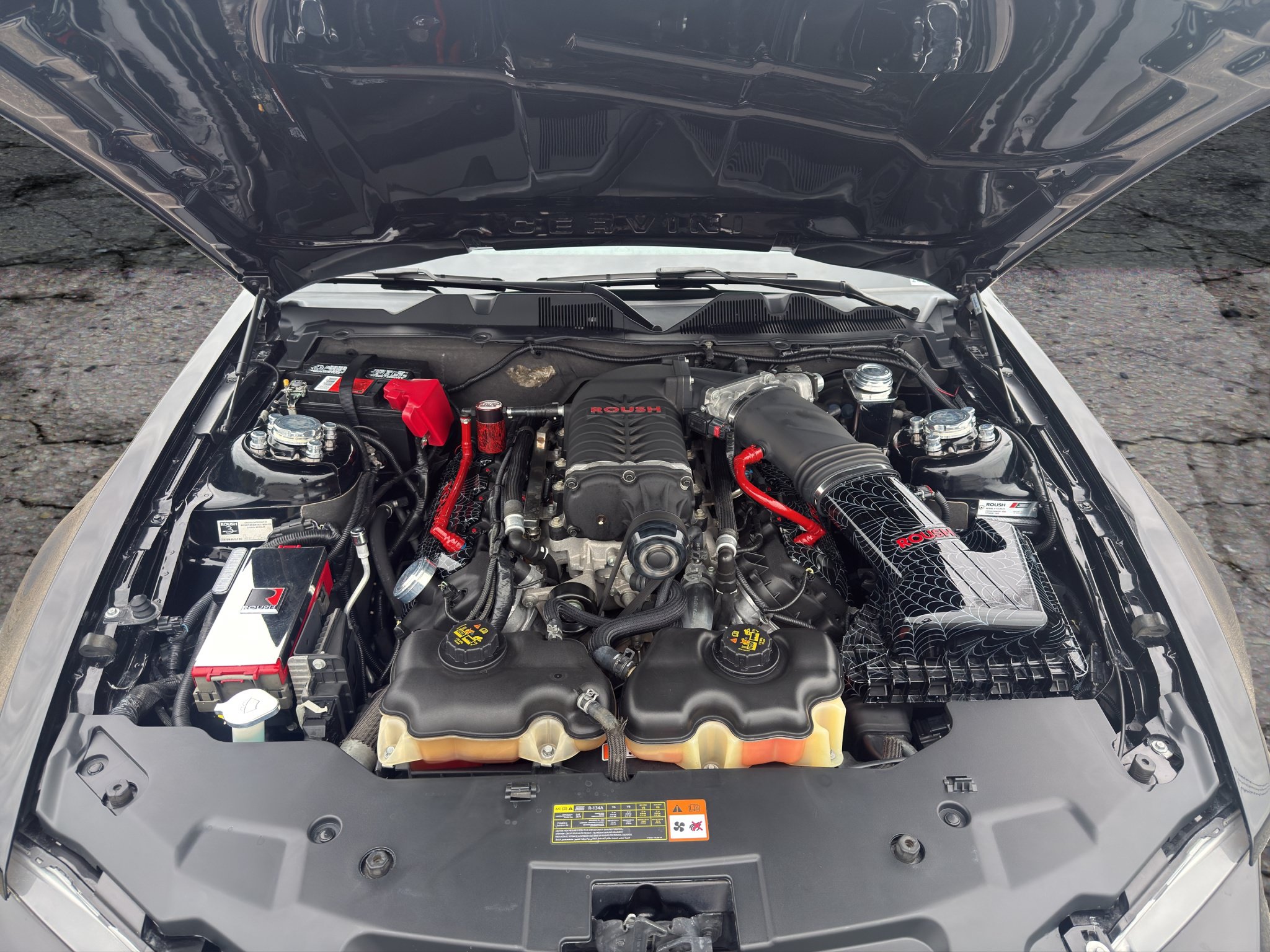 Used 2012 Ford Mustang GT Premium w/ HID Headlamps & Security Pkg RWD image 19