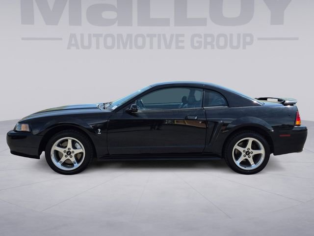 Used 2001 Ford Mustang Cobra RWD video 2