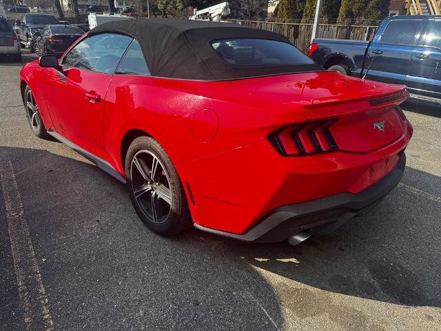 Certified 2024 Ford Mustang Premium image 3