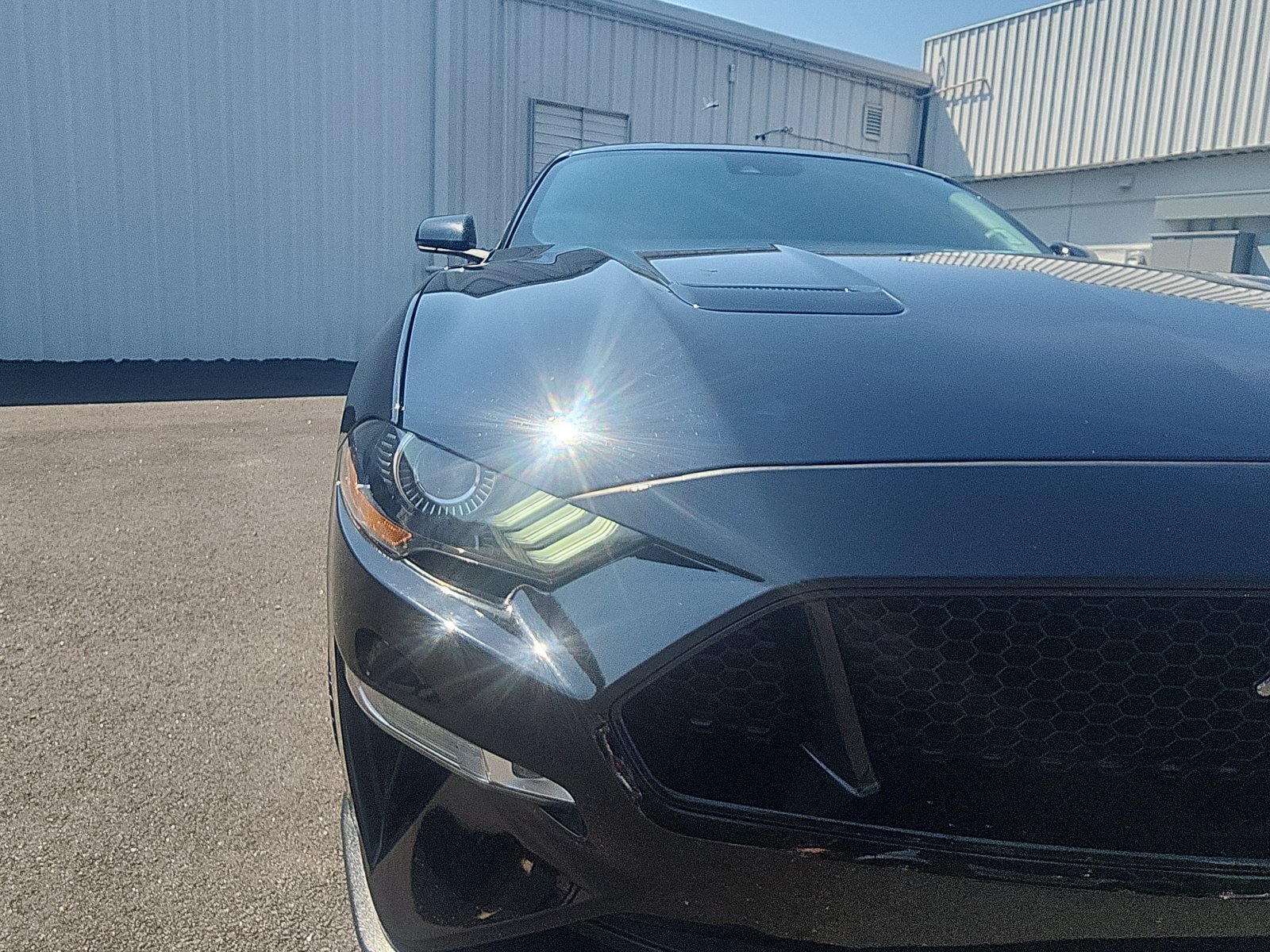 Used 2022 Ford Mustang GT Premium w/ Equipment Group 401A RWD image 12