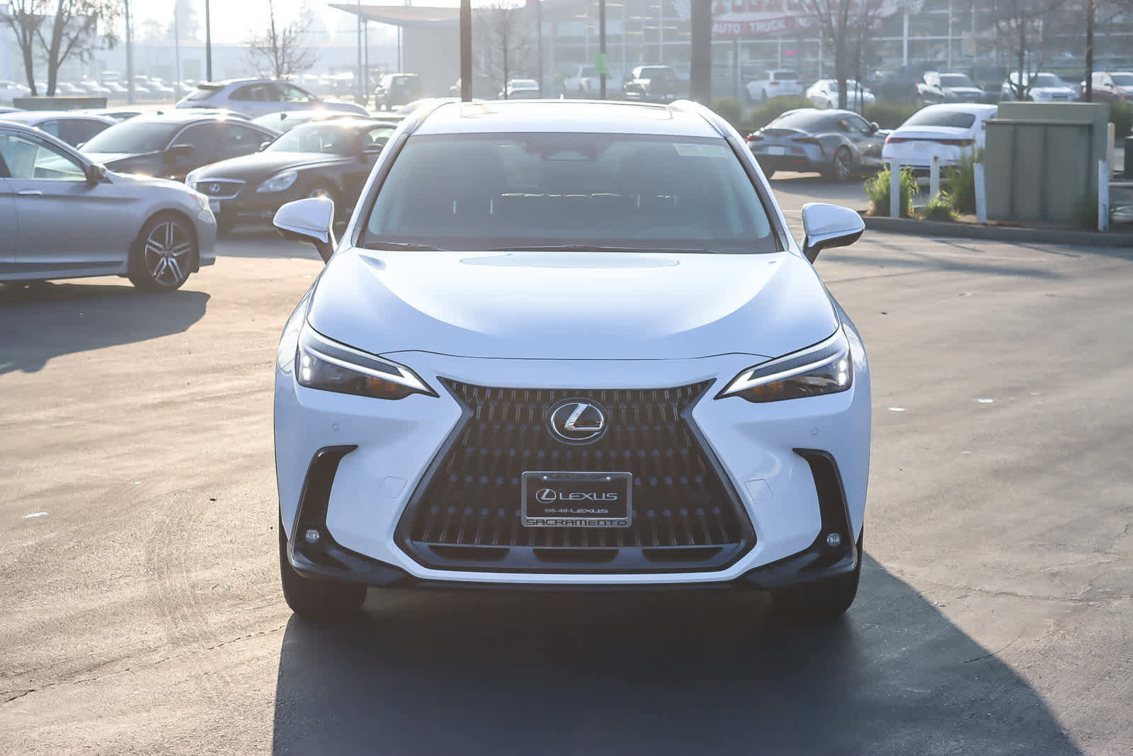 New 2026 Lexus NX 350h AWD w/ Premium Package image 6