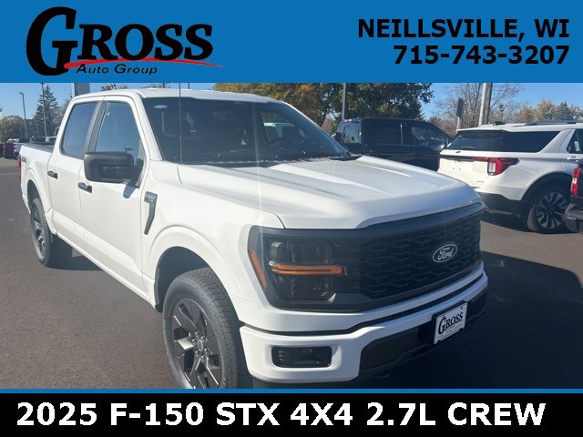 New 2025 Ford F150 STX image 1