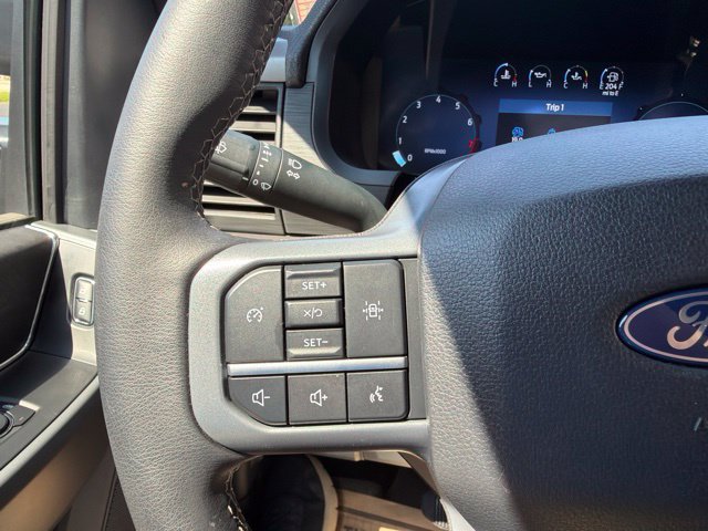 Used 2025 Ford F150 XLT w/ Equipment Group 301A Standard AWD/4WD image 19