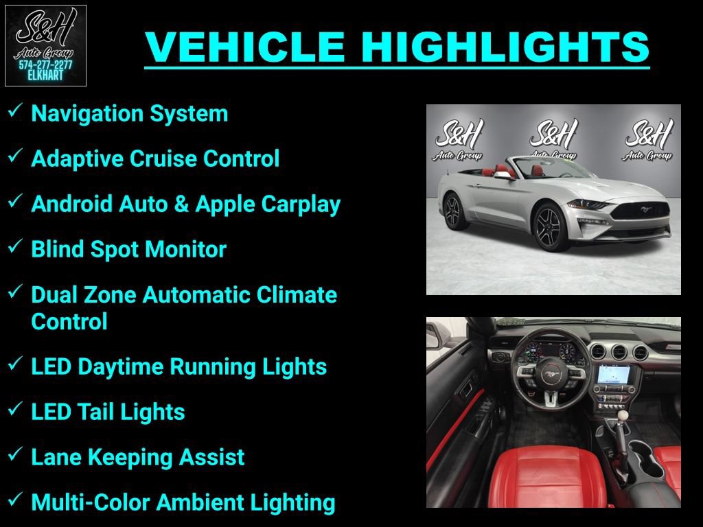 Used 2019 Ford Mustang Premium w/ Equipment Group 201A RWD image 3