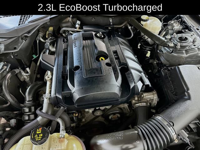 Used 2016 Ford Mustang Coupe w/ Ecoboost Performance Package RWD image 21