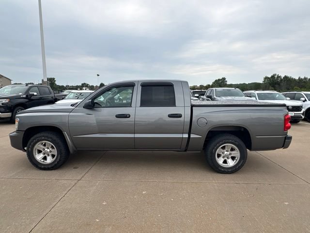 Used 2010 Dodge Dakota ST RWD image 6