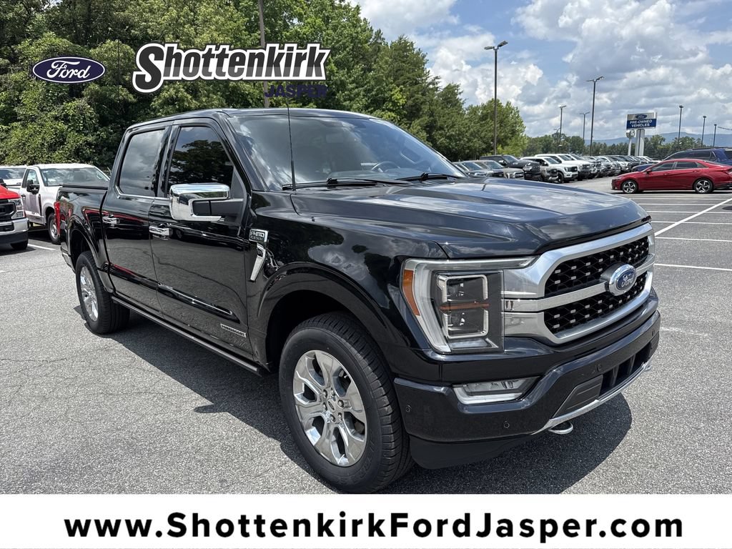 Used 2022 Ford F150 Platinum w/ Equipment Group 701A High AWD/4WD image 1