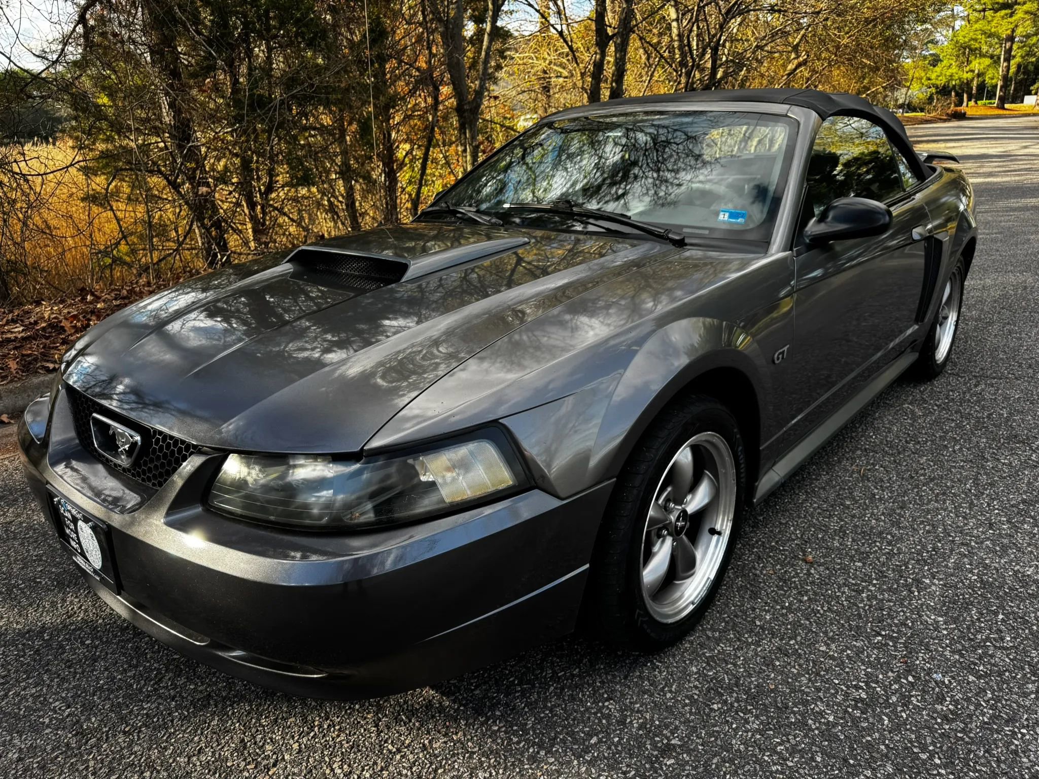 Used 2003 Ford Mustang GT image 6