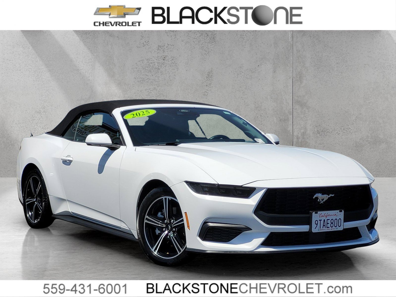 Used 2025 Ford Mustang Premium RWD image 1
