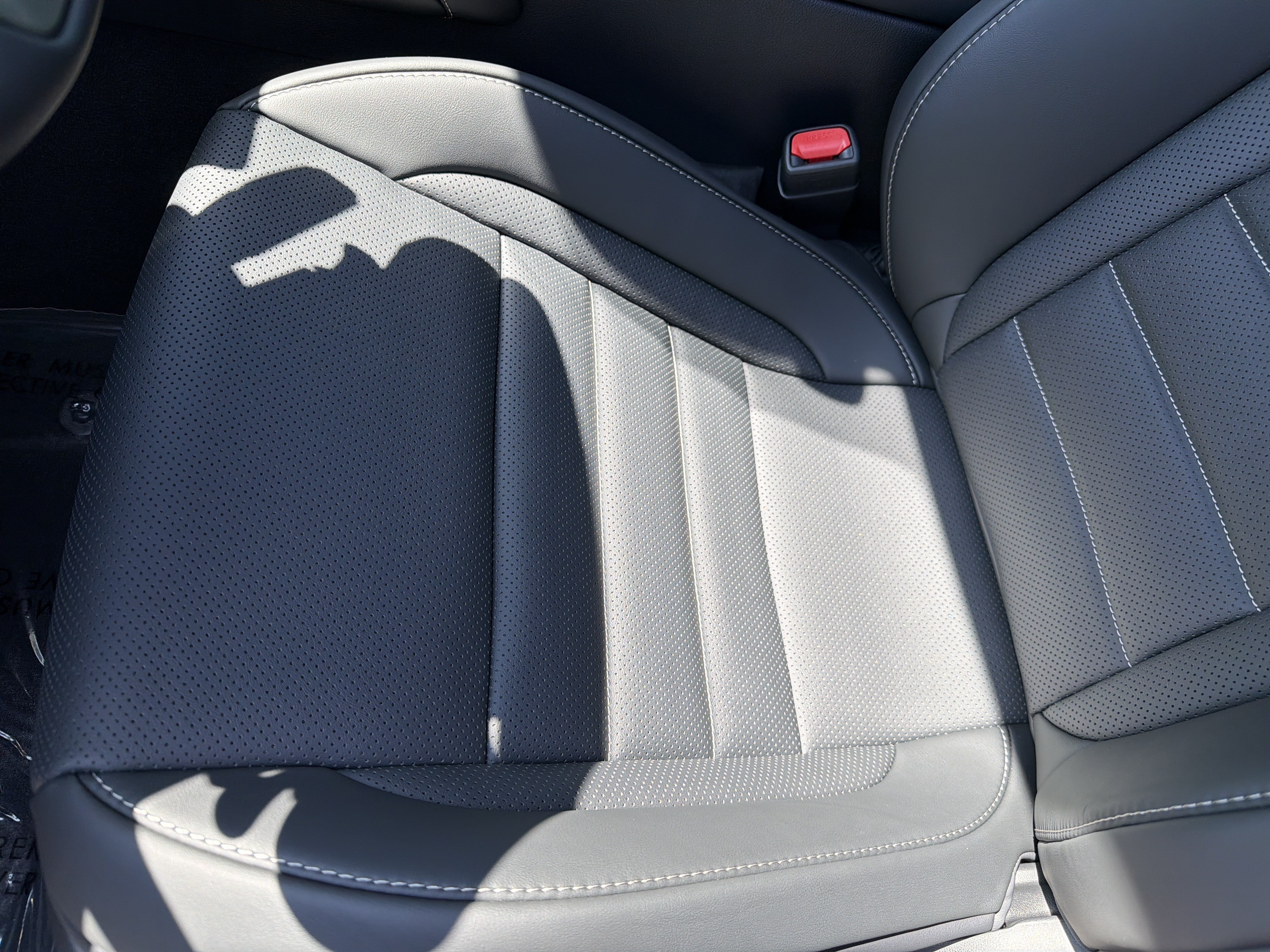 New 2026 Lexus IS 350 F Sport w/ Technology Package RWD image 18
