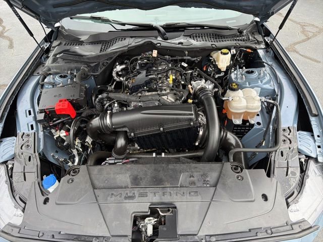 Certified 2024 Ford Mustang Coupe RWD image 10