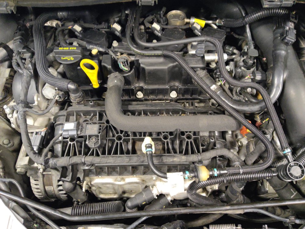 Used 2019 Ford Escape SE AWD/4WD image 30