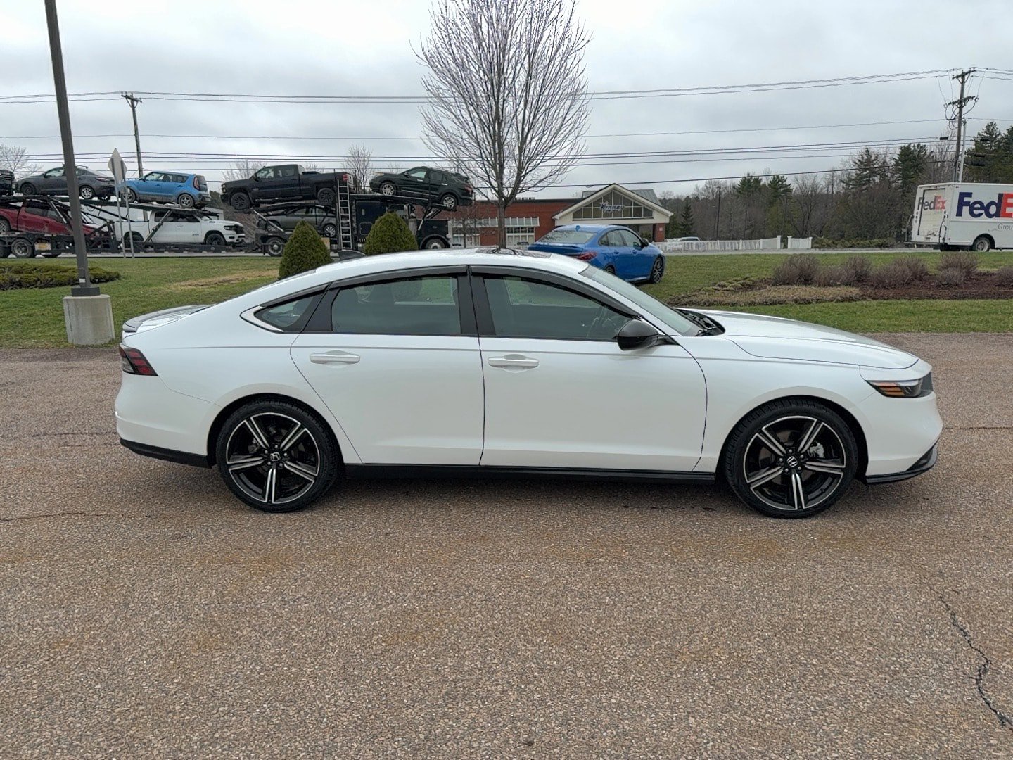 Certified 2024 Honda Accord Sport image 4