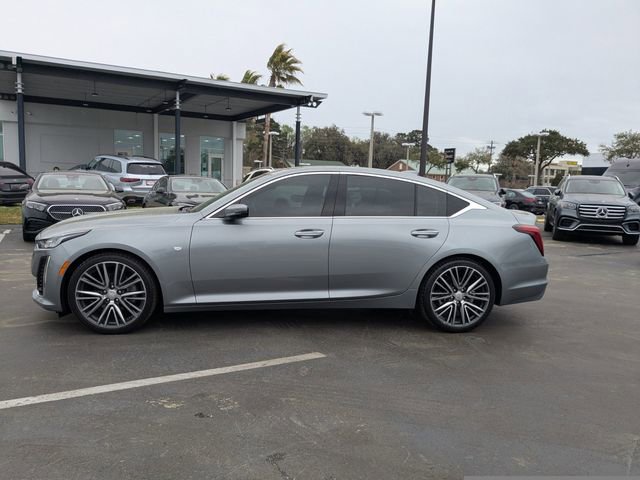 Used 2024 Cadillac CT5 Premium Luxury w/ Climate Package image 8