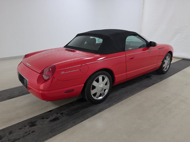 Used 2002 Ford Thunderbird RWD image 2