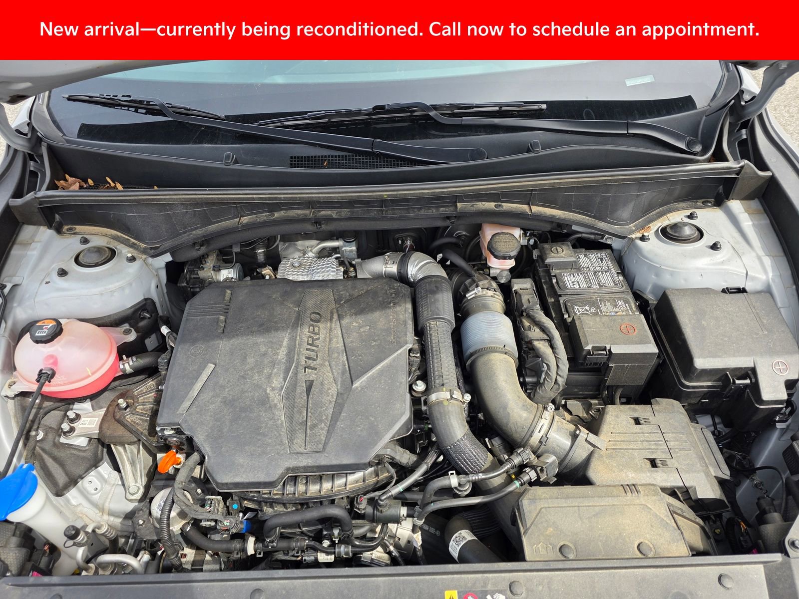 Certified 2023 Kia Sorento SX image 10