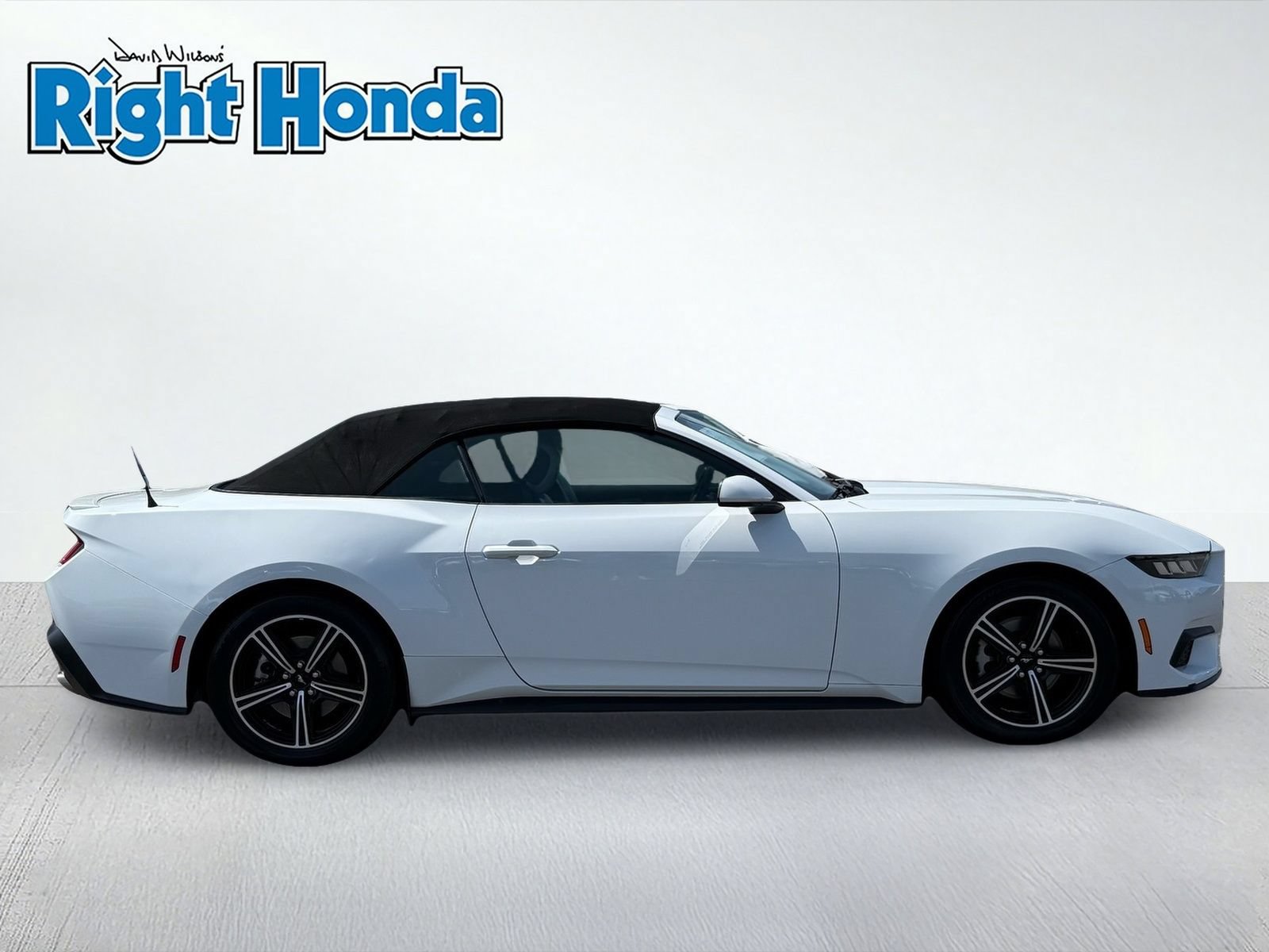Used 2024 Ford Mustang Premium RWD image 9