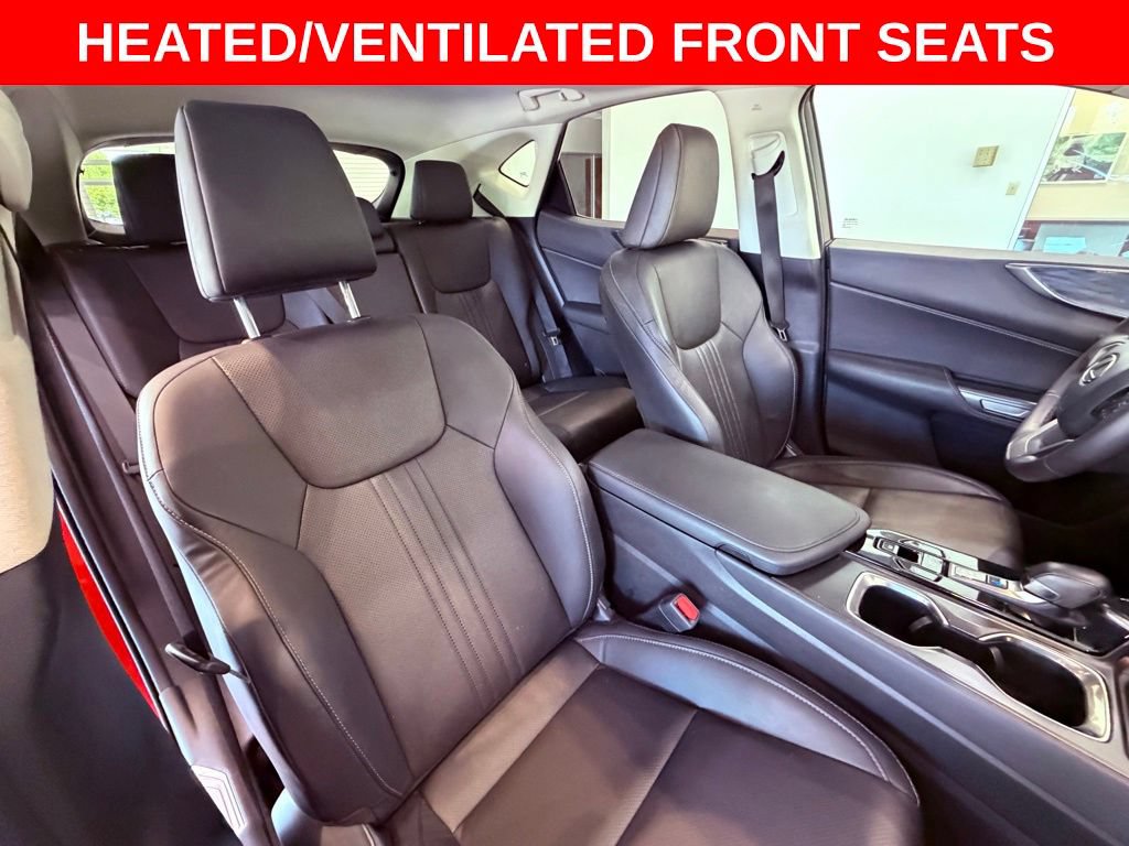 Certified 2024 Lexus NX 250 FWD w/ Cold Area Package image 11