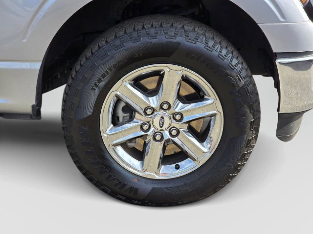 Used 2025 Ford F150 XLT w/ Equipment Group 301A Standard AWD/4WD image 9