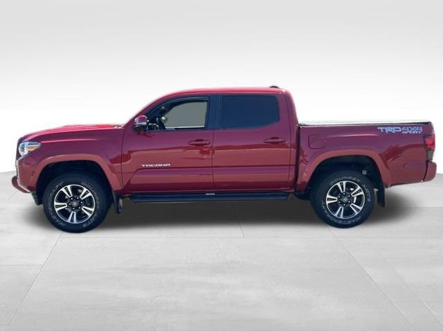 Used 2019 Toyota Tacoma TRD Sport AWD/4WD image 2