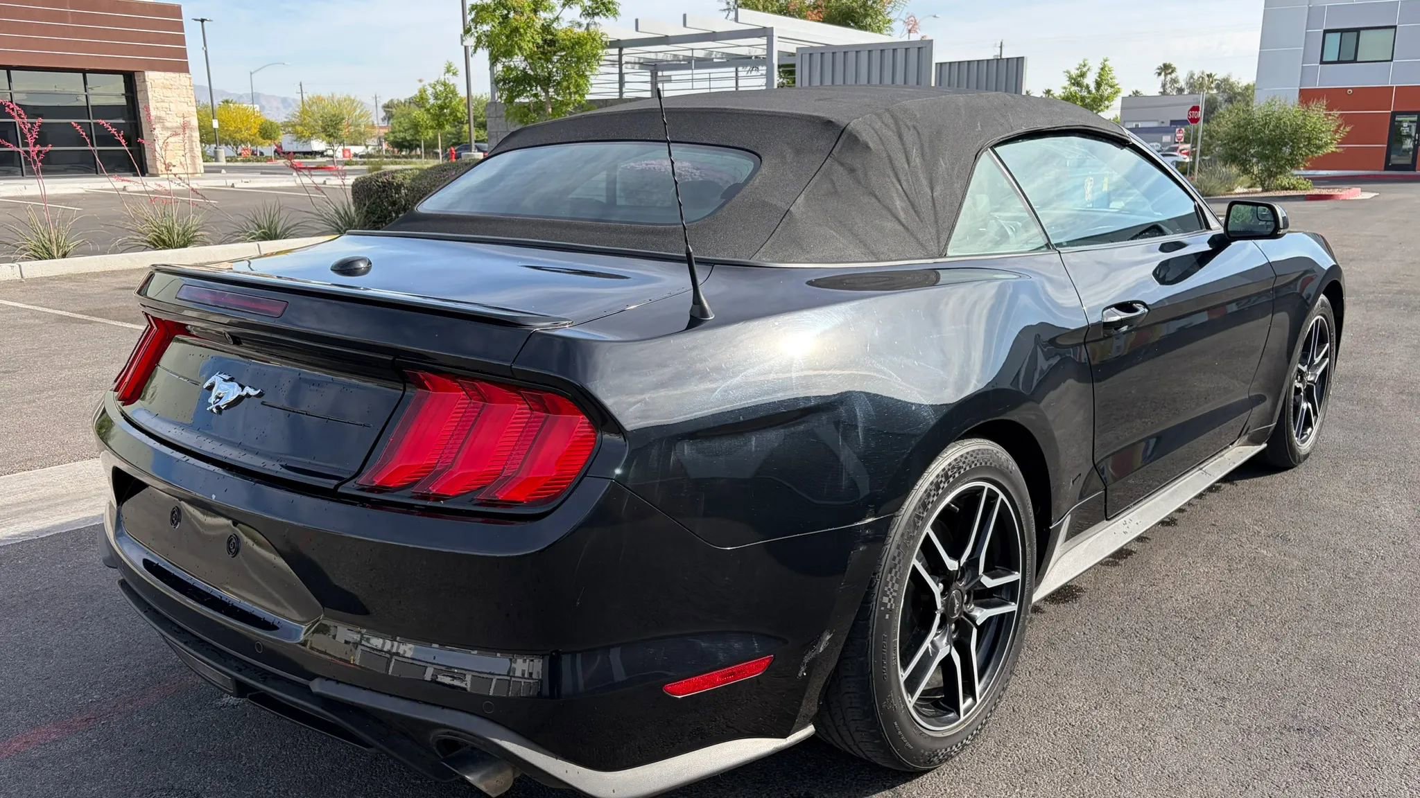 Used 2019 Ford Mustang Premium RWD image 5