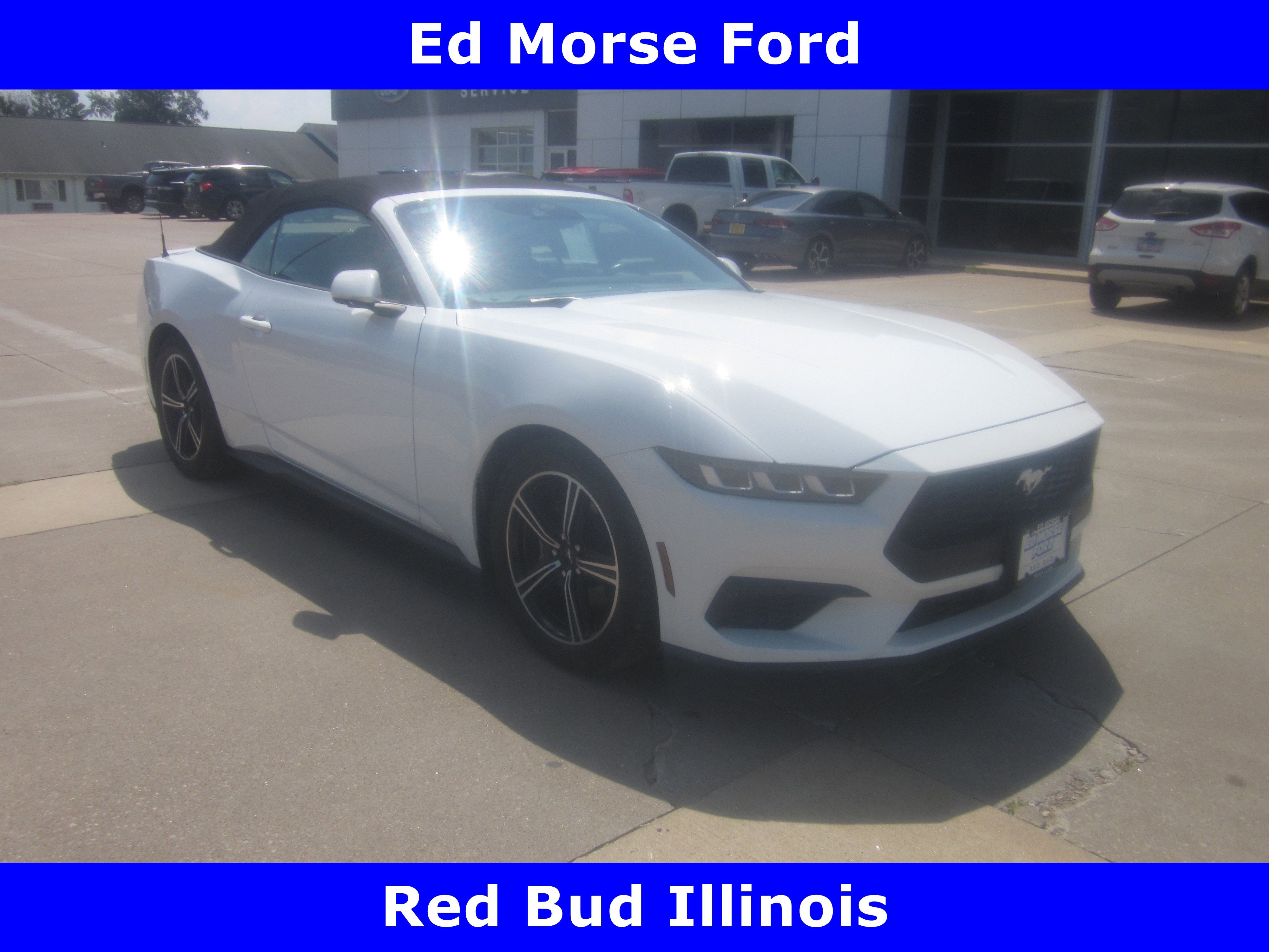 Used 2024 Ford Mustang Premium