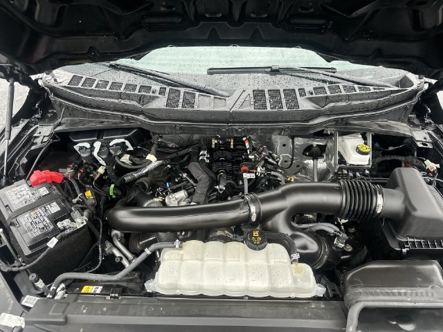 Used 2025 Ford F150 XLT w/ Equipment Group 301A Standard AWD/4WD image 19