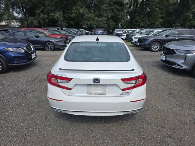 Used 2022 Honda Accord Sport image 3