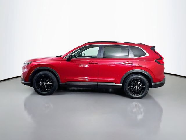 Certified 2024 Honda CR-V Sport image 6