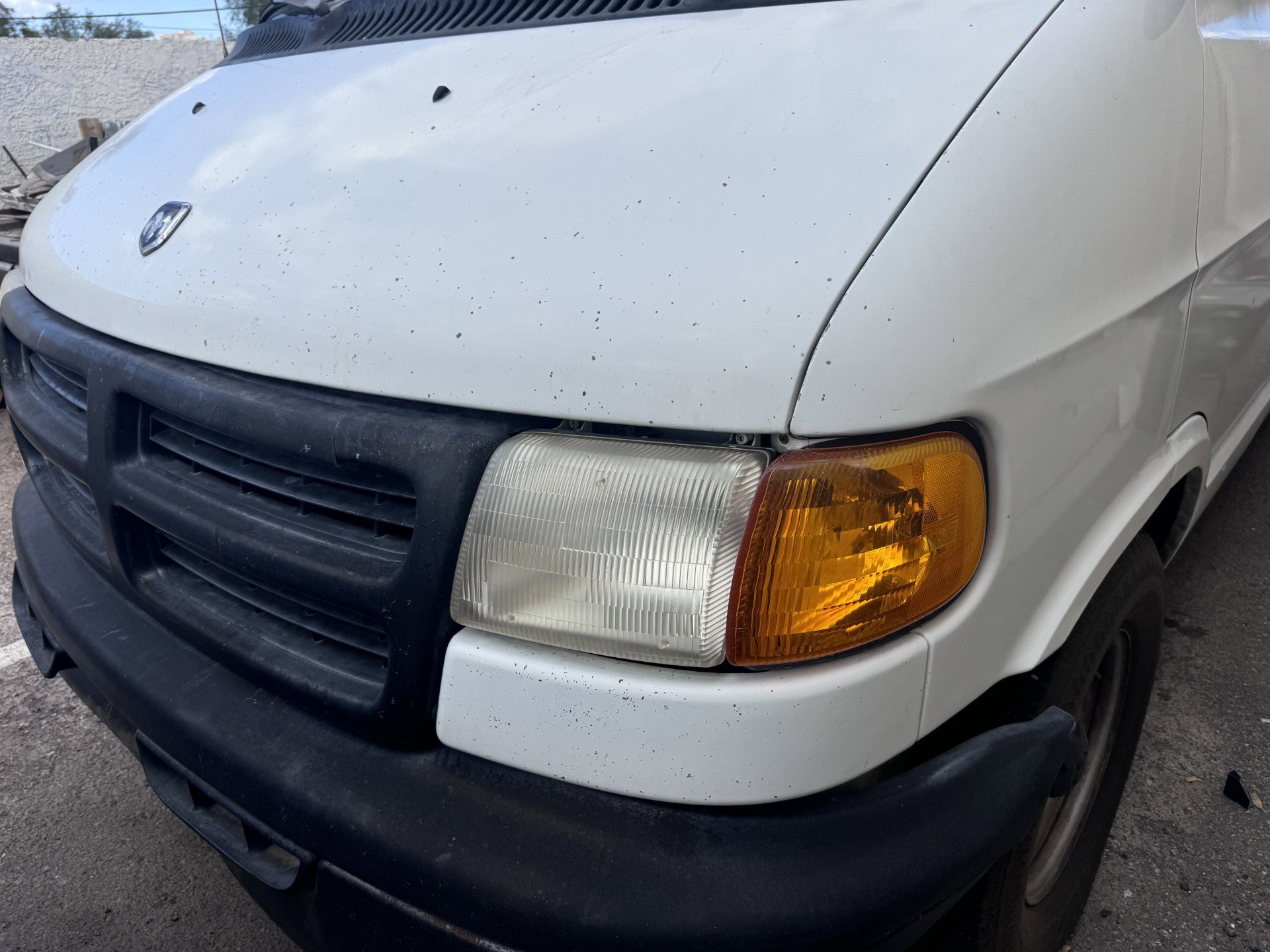 Used 2000 Dodge B1500 RWD image 32