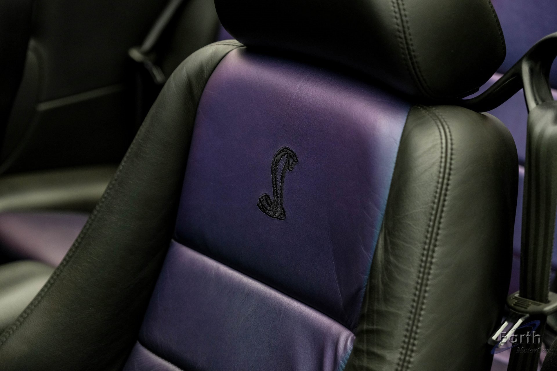 Used 2004 Ford Mustang Cobra image 51