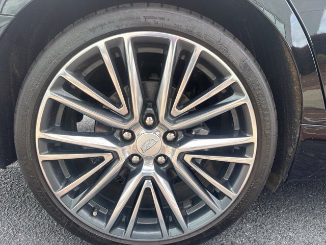 Used 2024 Cadillac CT5 Premium Luxury RWD image 6