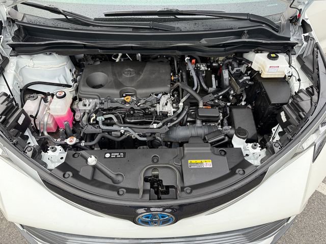 Certified 2021 Toyota Sienna Platinum image 7