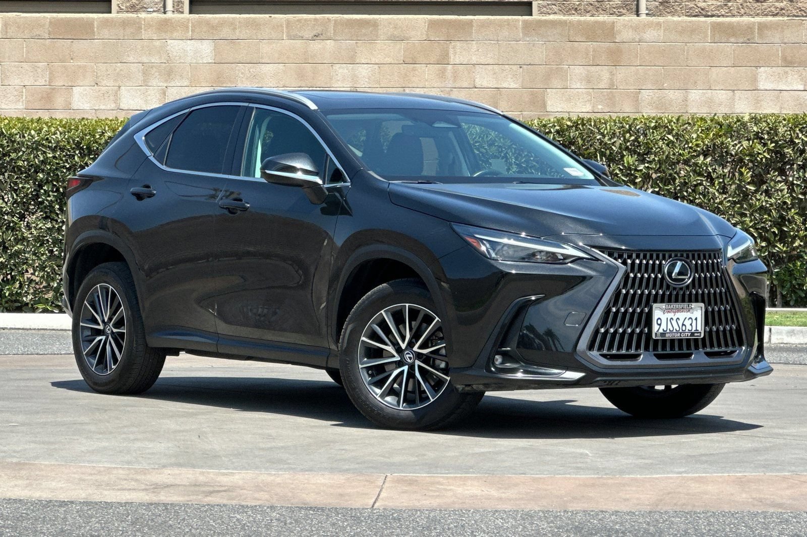 Used 2024 Lexus NX 250 AWD w/ Cold Area Package image 2