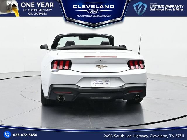 New 2026 Ford Mustang Premium w/ Bronze Appearance Package RWD image 10