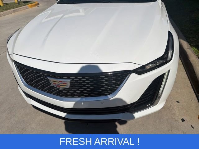 Used 2023 Cadillac CT5 Premium Luxury w/ Climate Package image 2