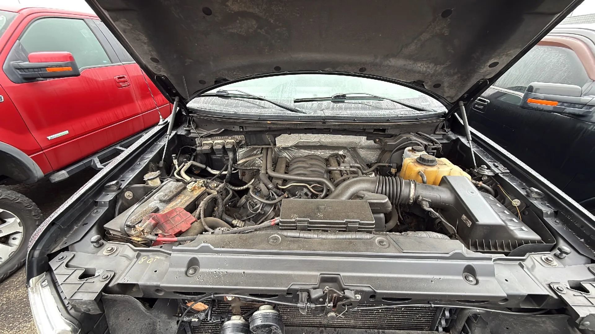 Used 2014 Ford F150 STX w/ Equipment Group 201A Mid image 19