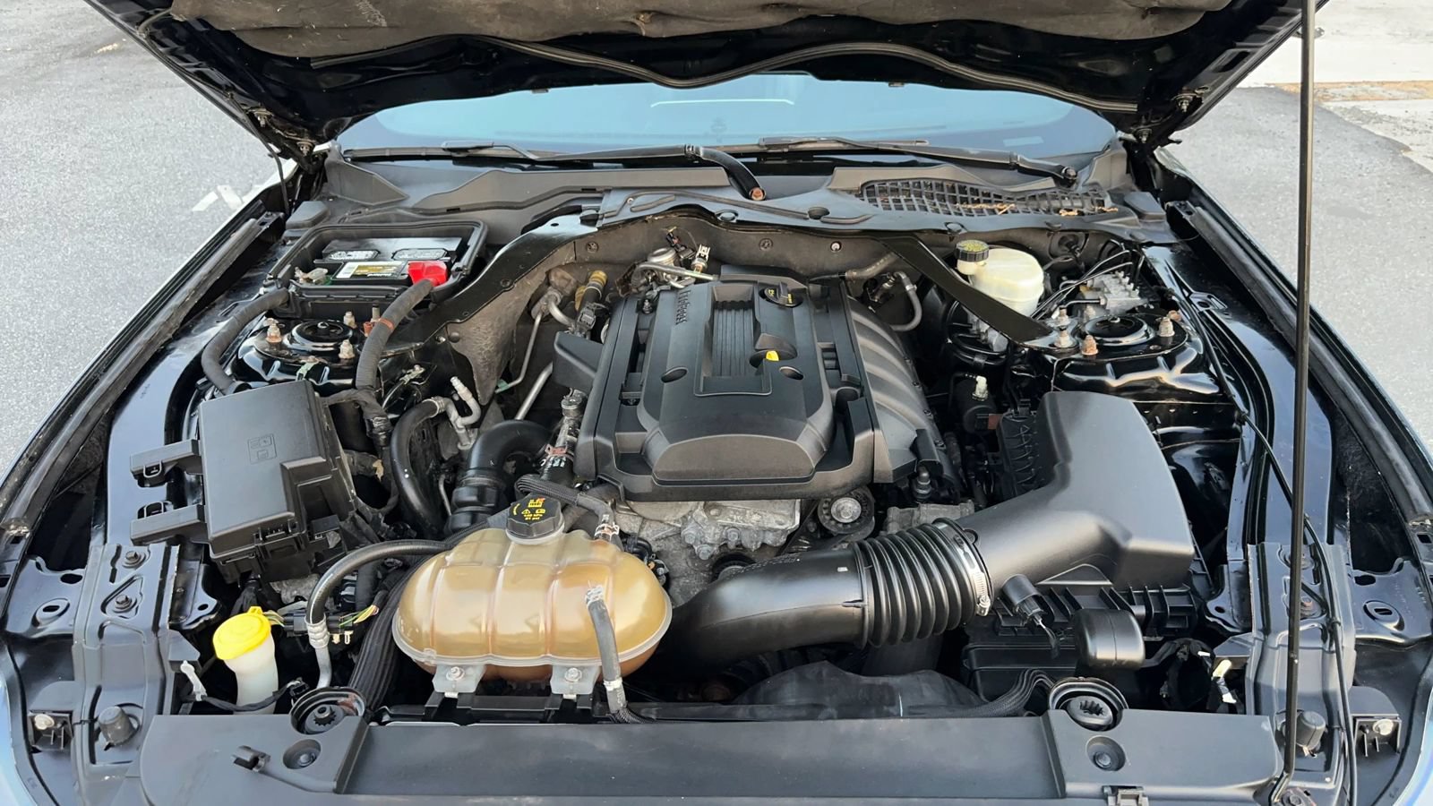 Used 2015 Ford Mustang Premium RWD image 14