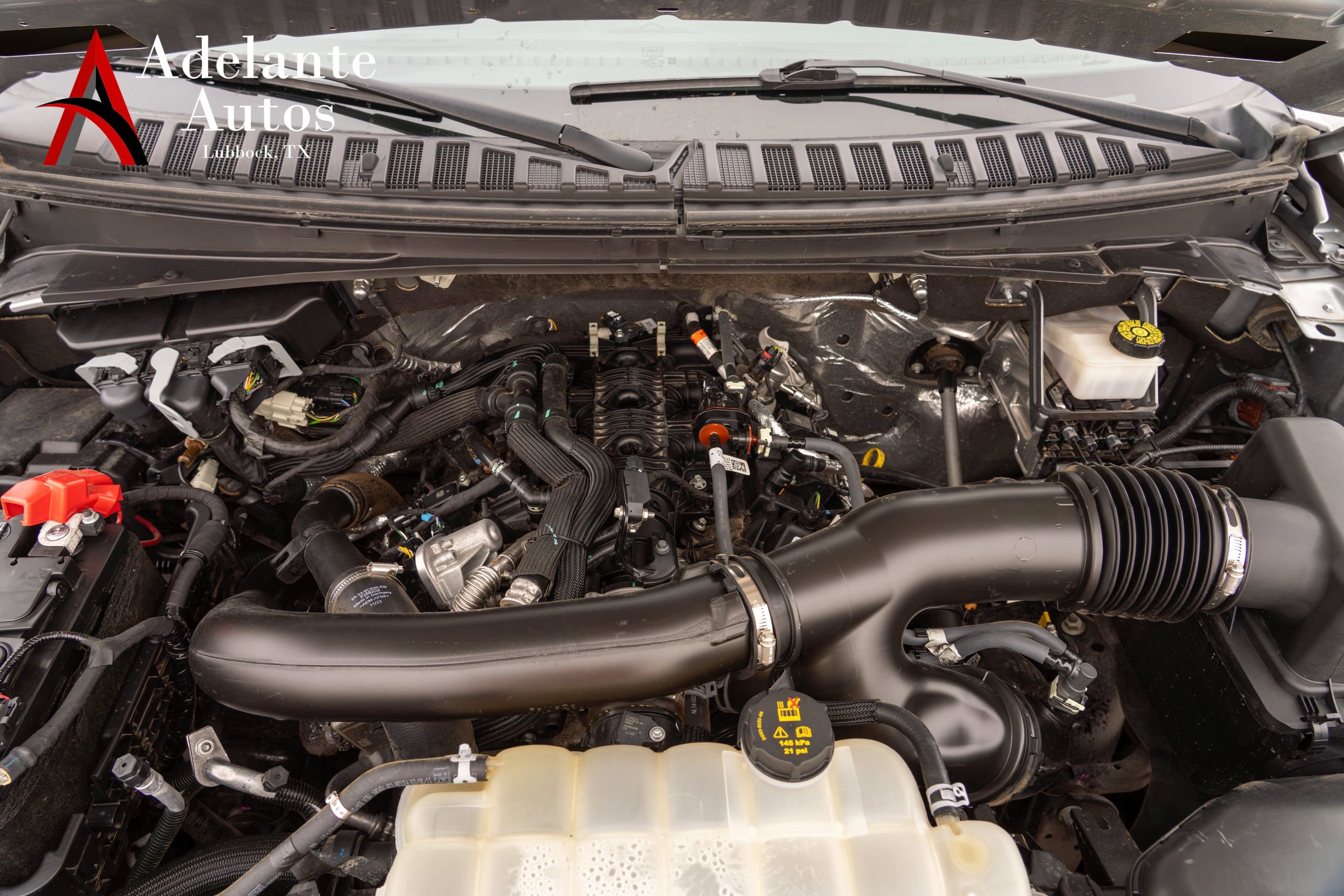 Used 2024 Ford Expedition Max XLT image 5