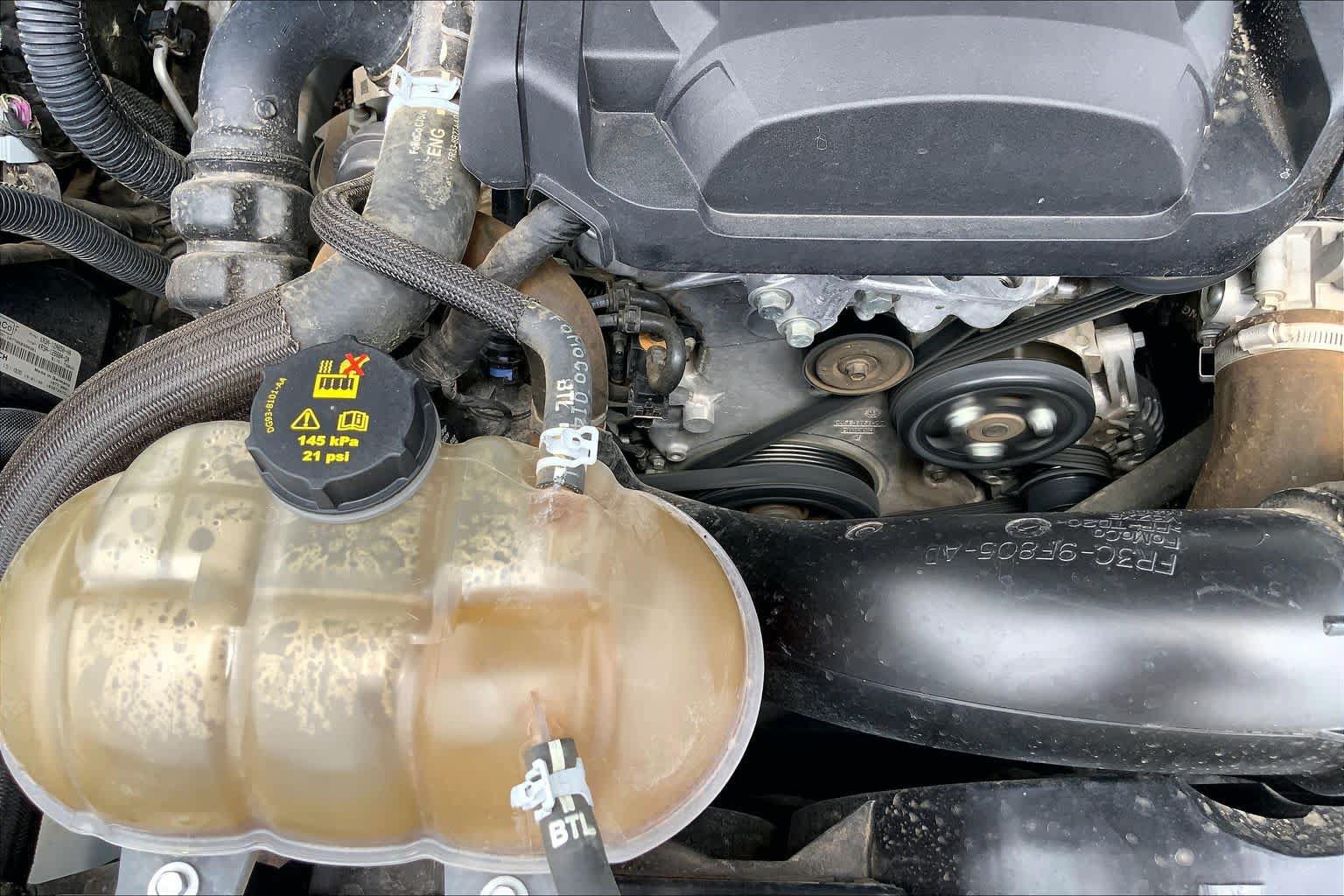 Certified 2019 Ford Mustang Premium RWD image 33
