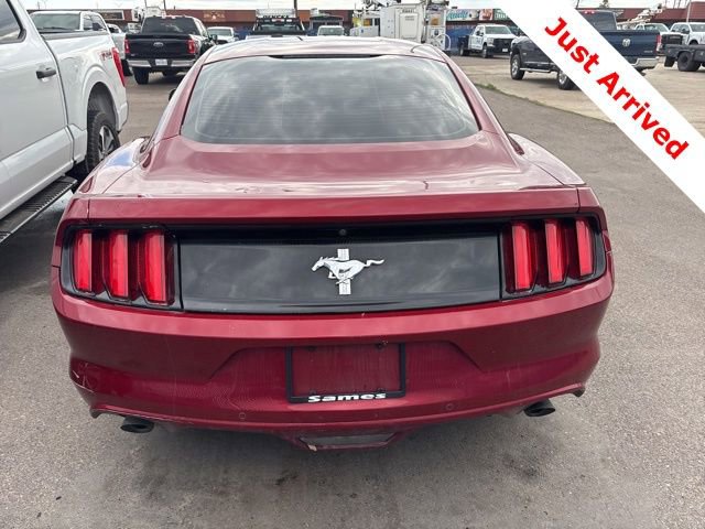 Used 2017 Ford Mustang Coupe image 9
