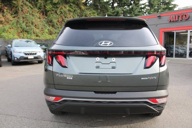 Used 2024 Hyundai Tucson Blue image 4