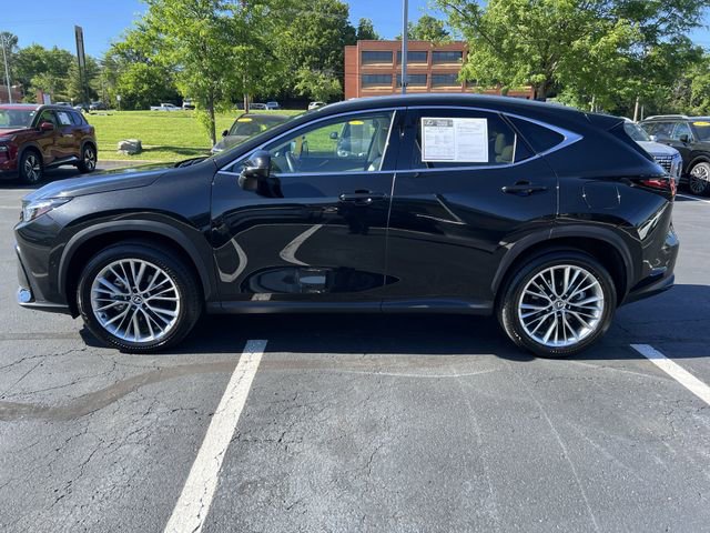 Used 2025 Lexus NX 350h AWD w/ Accessory Package (2T) image 6