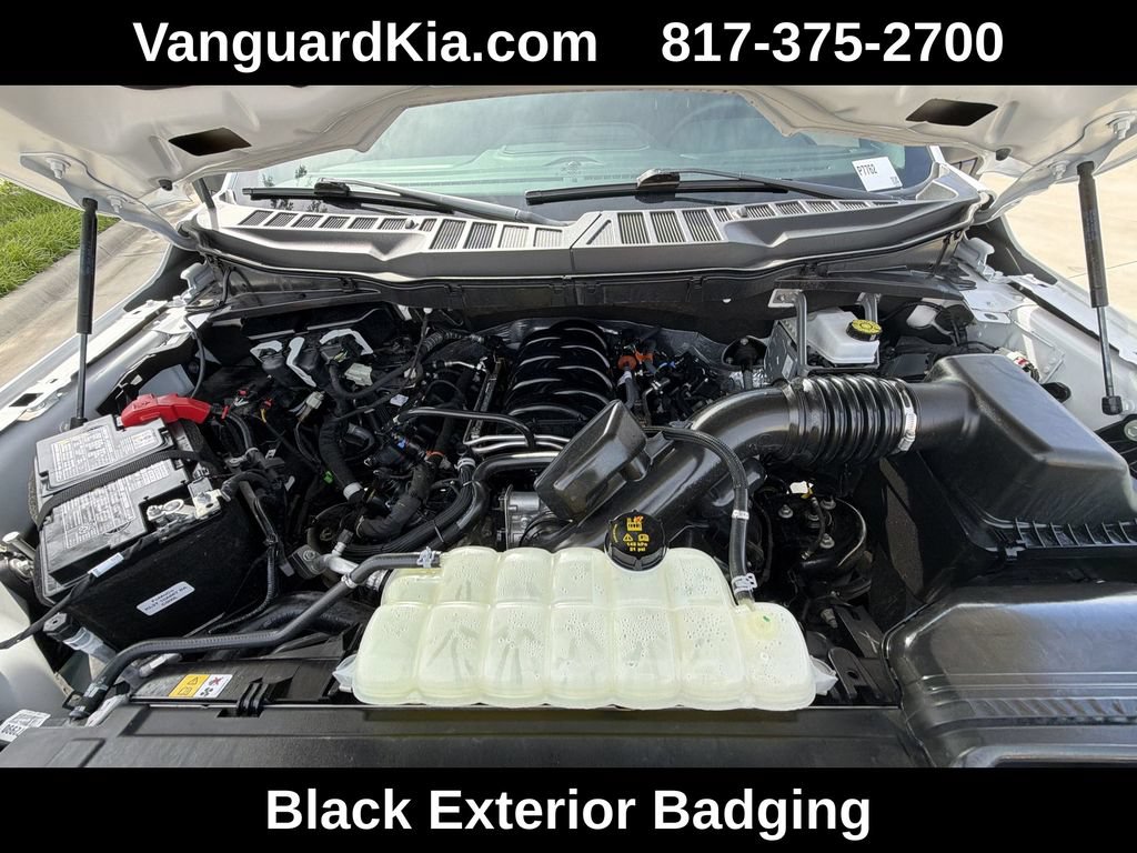 Used 2025 Ford F150 XLT w/ Equipment Group 301A Standard AWD/4WD image 21