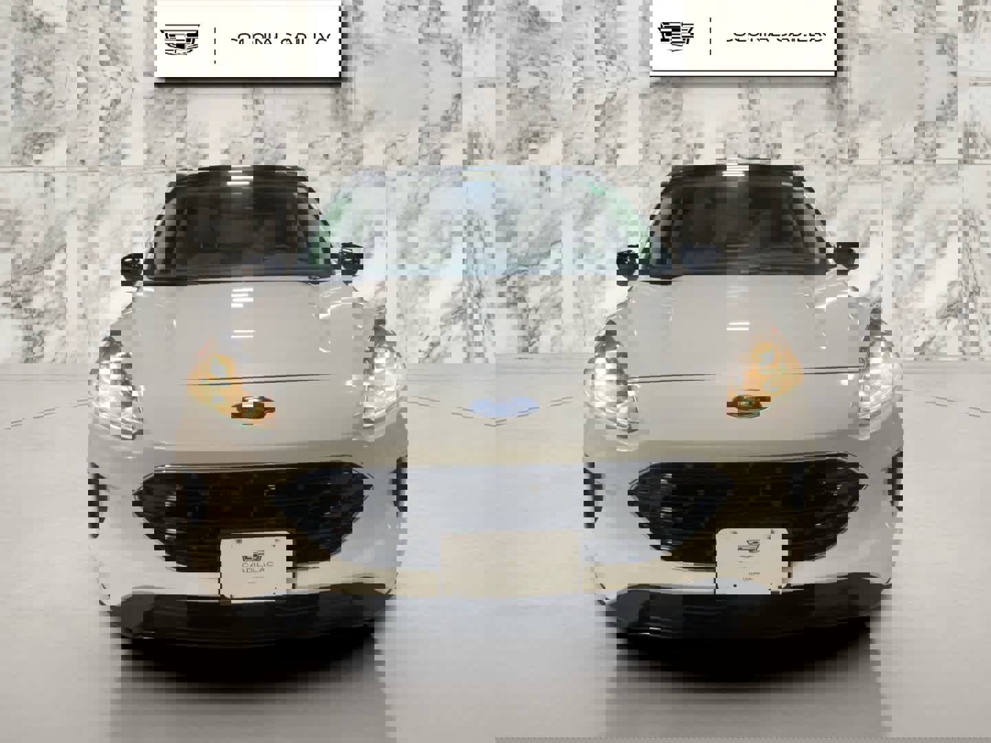 Used 2021 Ford Escape SE w/ SE Sport Appearance Package image 8