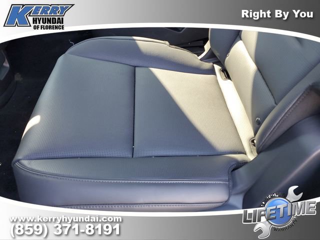 New 2026 Hyundai Palisade Calligraphy image 15