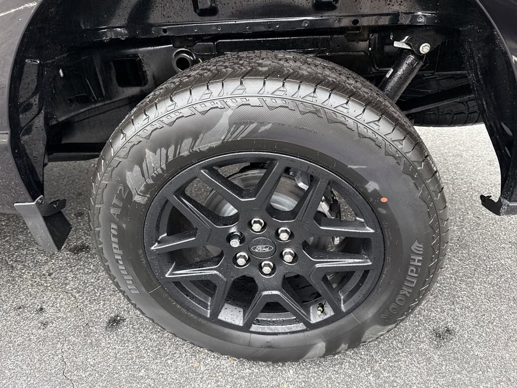New 2025 Ford F150 STX w/ STX Black Appearance Package image 20